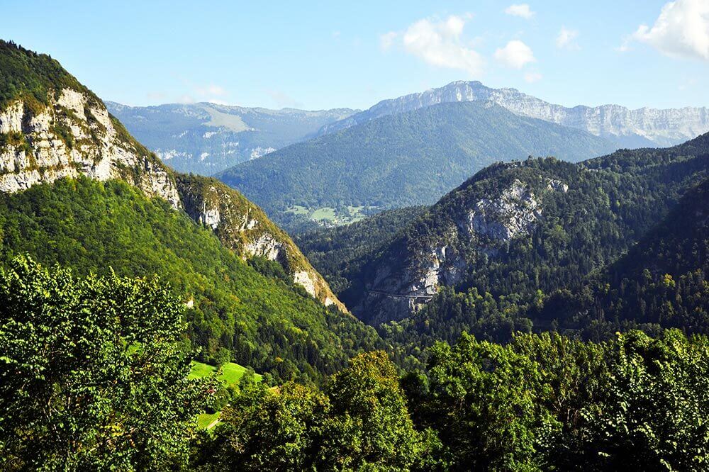 foret de la grande chartreuse isere